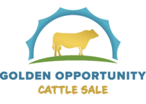 Golden Opportunity Sale Logo Lrg